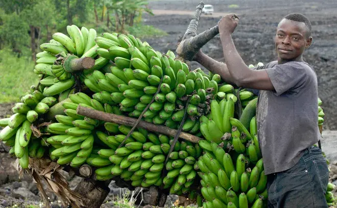 research_trade_660x408.jpg